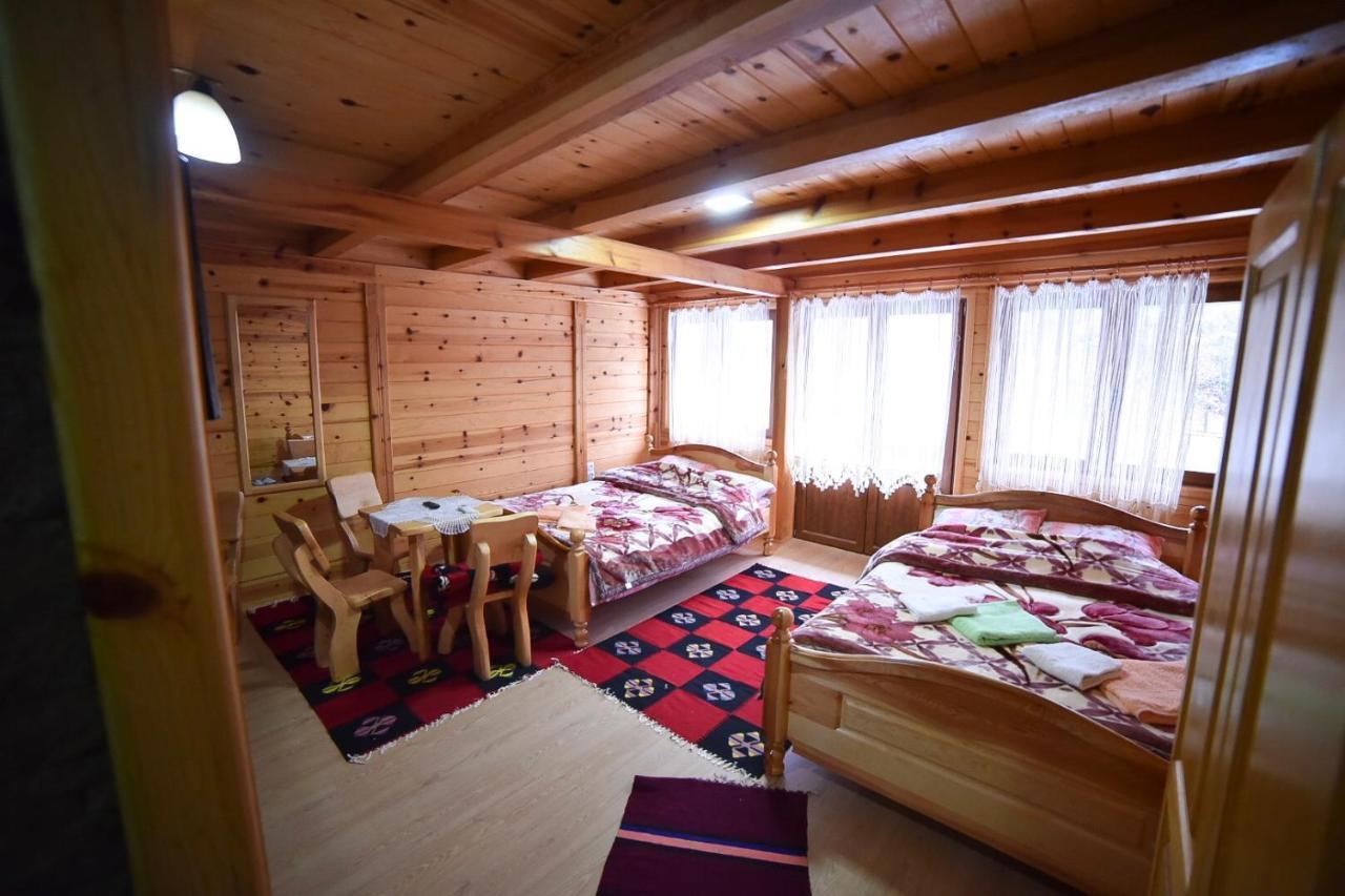 Izvor Bazeni Vrela Villa Užice Buitenkant foto